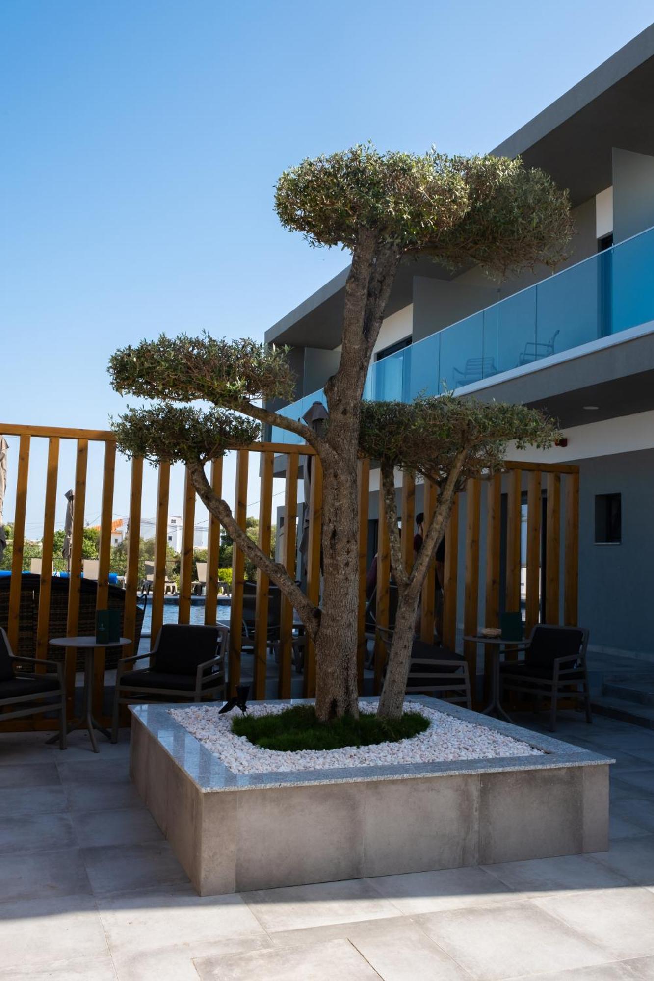 Ria Formosa Guest House Фару Экстерьер фото